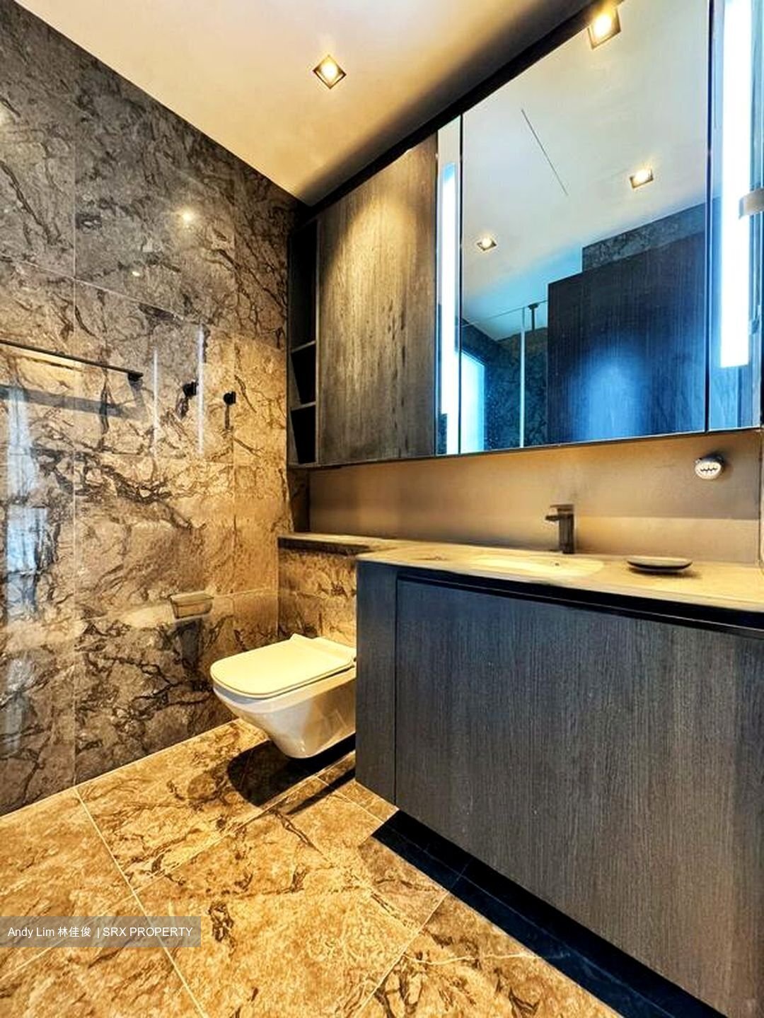 3 Cuscaden (D10), Apartment #457265151